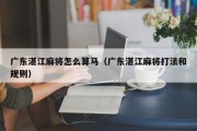 广东湛江麻将怎么算马（广东湛江麻将打法和规则）
