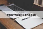 广东红中鸡胡麻将技术的简单介绍