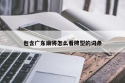 包含广东麻将怎么看牌型的词条