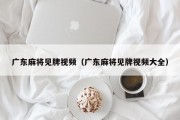 广东麻将见牌视频（广东麻将见牌视频大全）