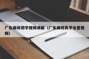 广东麻将初学视频讲解（广东麻将教学全套视频）