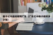 赖子红中麻将规则广东（广东红中赖子麻将多少张）