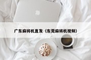 广东麻将机直发（东莞麻将机视频）