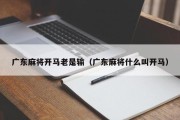 广东麻将开马老是输（广东麻将什么叫开马）